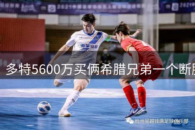 多特5600万买俩希腊兄弟一个断腿一个晕倒，科瓦奇想哭